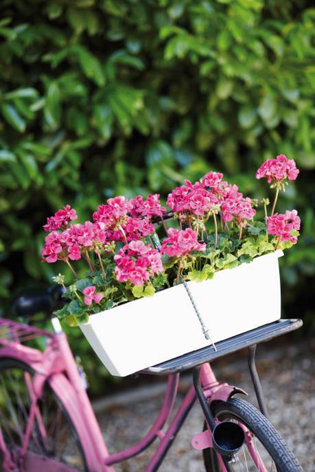 barcelona balconnière 70cm blanc